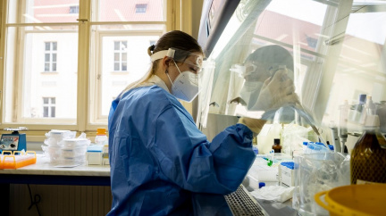 Ani jeden případ viru chřipky, covid ji vymýtil, hlásí laboratoře