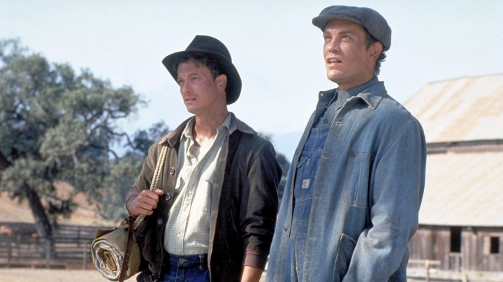 Jak štěňátko zrecenzovalo americkou klasiku