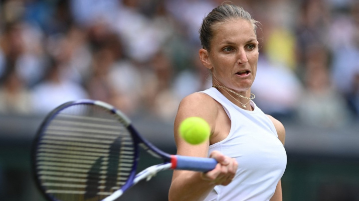 Karolína Plíšková je ve finále Wimbledonu