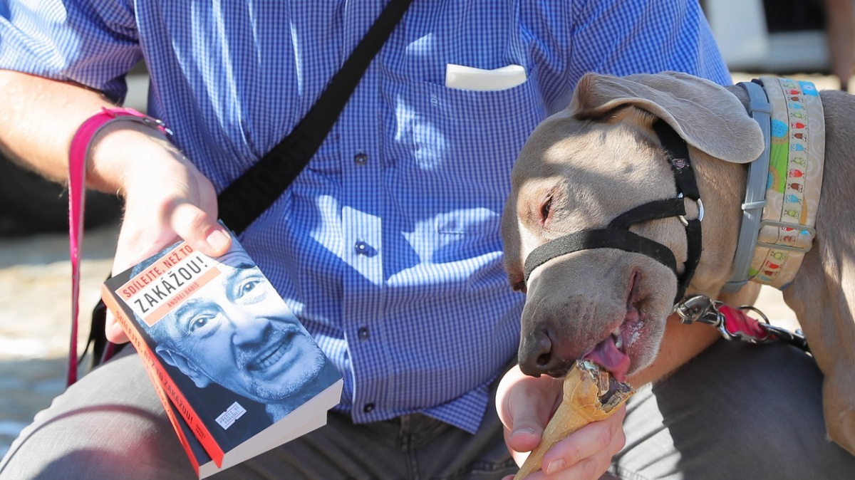 Babišova autogramiáda skončila policejním zásahem. Premiér dostal vajíčkem do hlavy