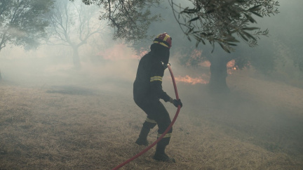 Požáry v Řecku zničily 85 tisíc hektarů porostu. S bojem proti ohni pomohl déšť i letadla s vodou