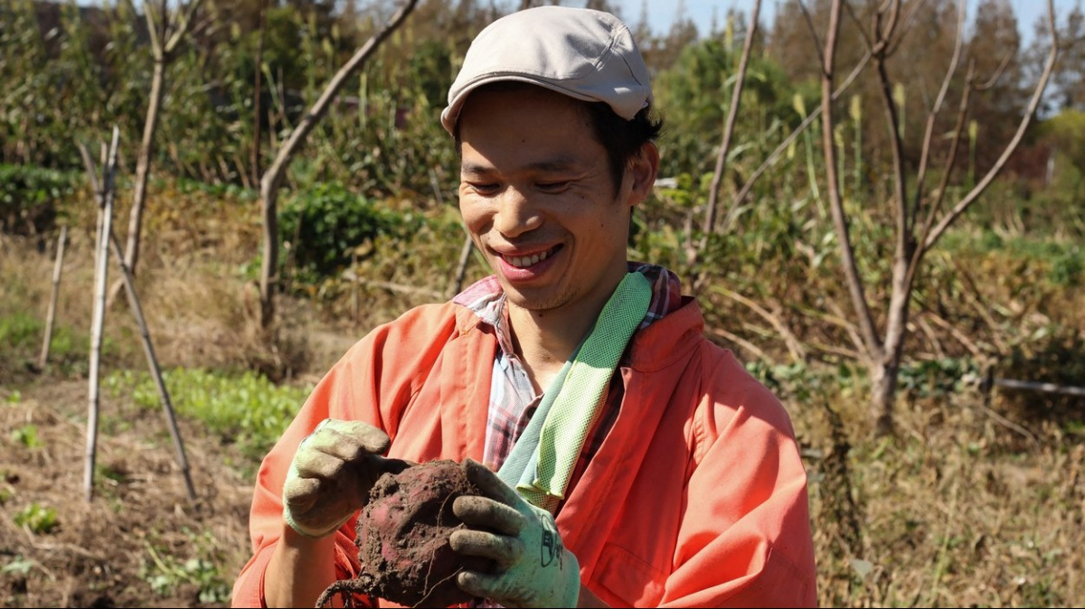 Mladí Číňané utíkají z byznysu na pole. Zemědělství se učí podle videí