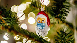 Rok 2021 na vlnách podivna: Astronauti v plenách a velbloudi s plastikou