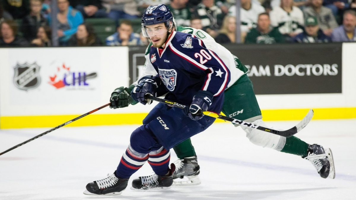 Imitoval opici. Český hokejista se kaje za rasistické gesto