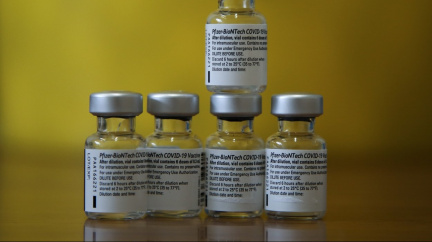 Pfizer loni silně zvýšil tržby i zisk, čeká silný růst tržeb za vakcínu na covid