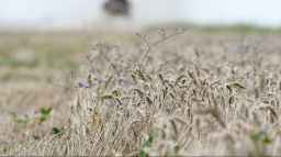 Ukrajina zavádí kvóty na vývoz některých zemědělských produktů