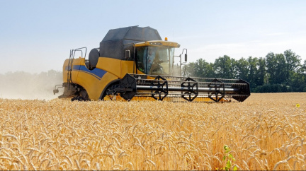 USA zvažují, že zruší sankce vůči Bělorusku kvůli vývozu ukrajinského obilí
