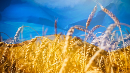 Podle Zelenského Rusové kradou ukrajinské obilí a blokují 22 milionů tun na vývoz