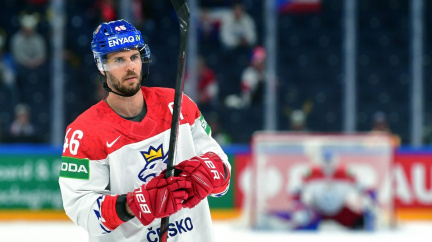 David Krejčí se po roce v Olomouci vrací do NHL