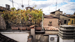 Moje víno je umělecké dílo a pít by se nemělo, říká majitel nejmenší vinice na světě