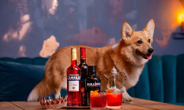 profimedia-0692606185