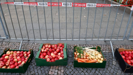 Zemědělci protestovali po celém Česku proti politice EU a vlády