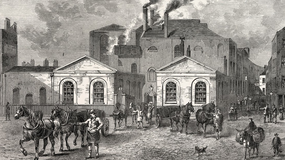 Když už se máme utopit, tak asi raději v pivu