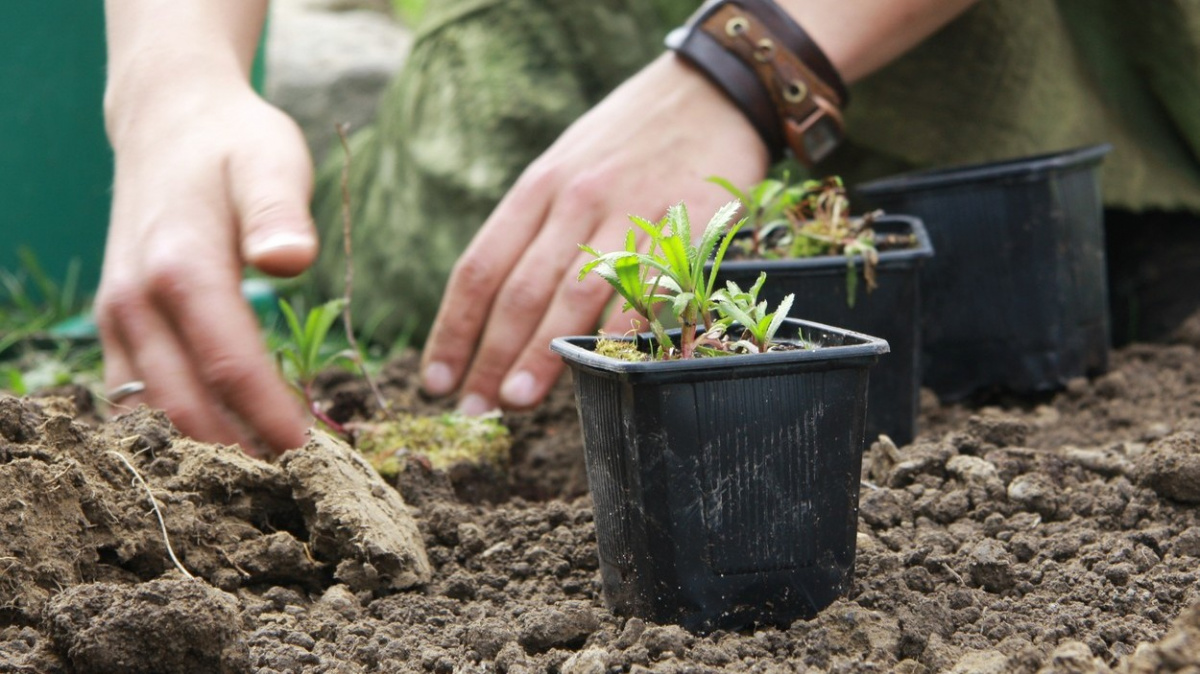 Práce „na podzimku“ výrazně zlepšuje duševní zdraví