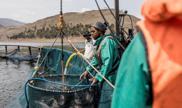 profimedia-0731441913