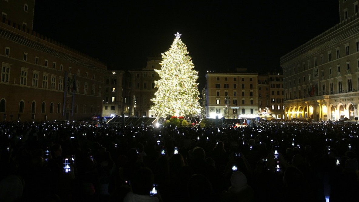 Vánoční stromy někde jdou lidem na nervy, jinde se schovávají