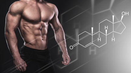 Testosteron – jaký vliv má na sportovní výkon?
