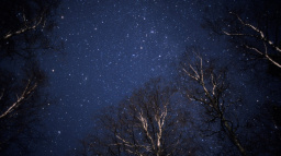 Co bude na nebi v roce 2023? Částečné zatmění Měsíce i skvěle pozorovatelné meteorické roje