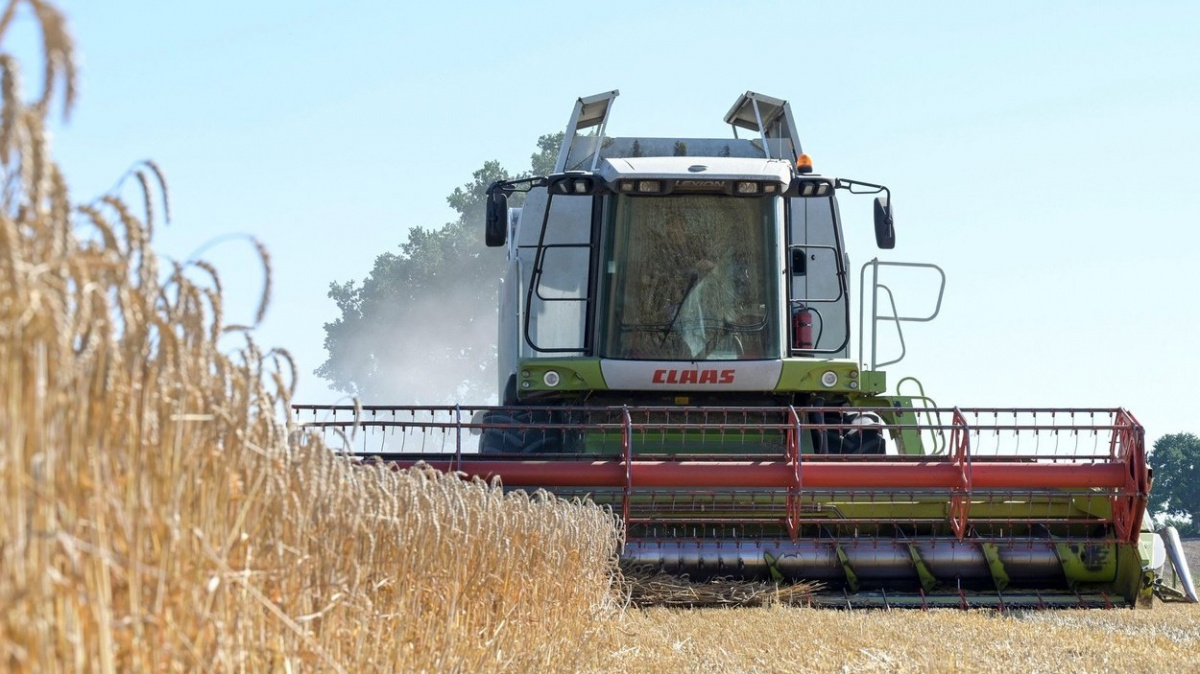 Světové ceny potravin v únoru jedenáctý měsíc za sebou klesly