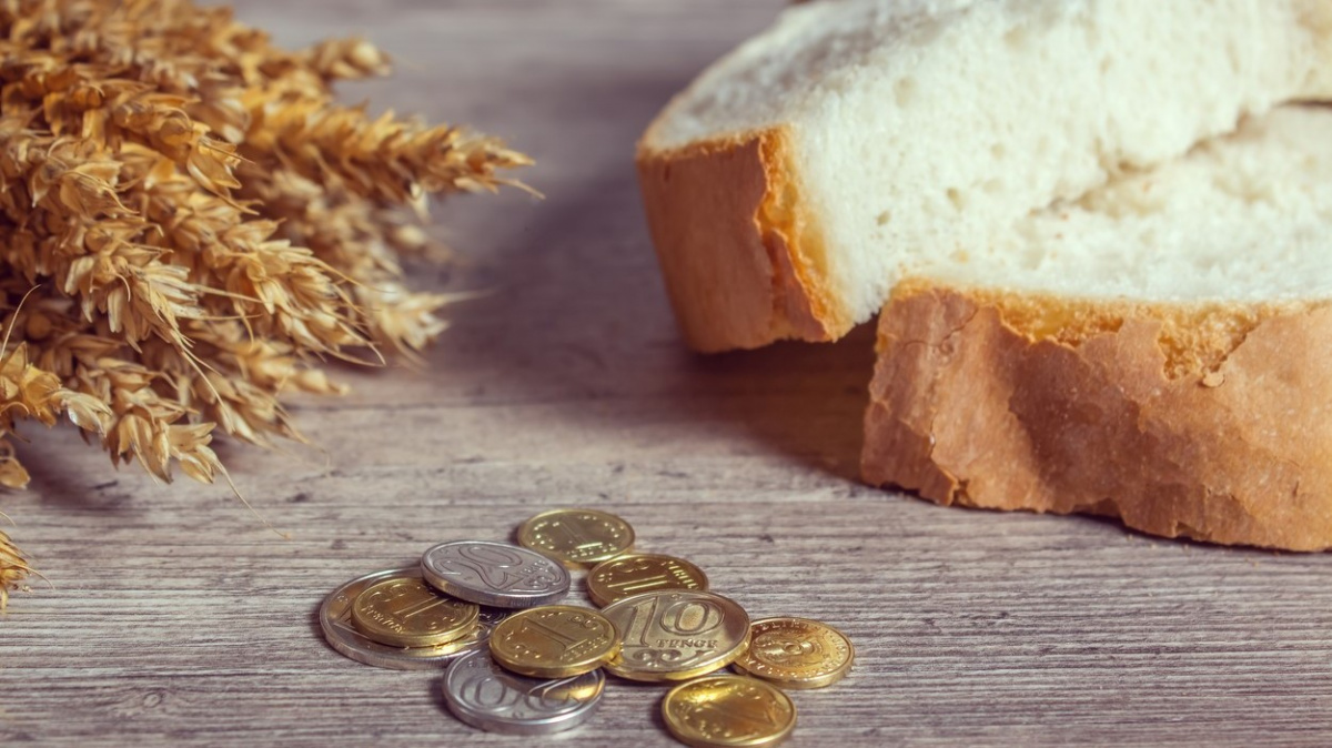 Slovensko zakázalo zpracování a prodej ukrajinského obilí, jsou v něm zakázané pesticidy