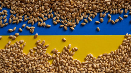EU přehlasovala Polsko a spol. a shodla se na prodloužení bezcelního režimu pro obilí z Ukrajiny