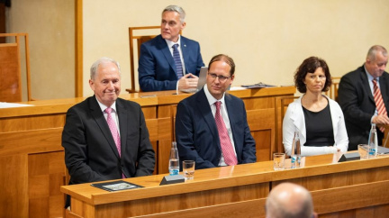 Ústavními soudci budou Baxa, Wintr a Zemanová, odhlasoval Senát