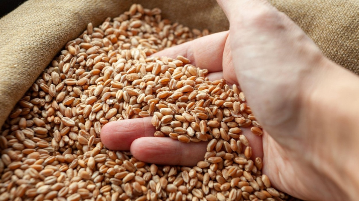 Evropská komise navrhla podpůrný balík pro zemědělce, Česko má dostat 160 milionů