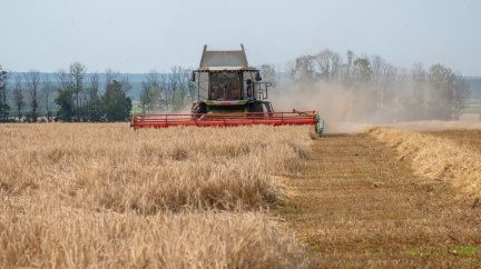 EU a Kyjev mají smůlu: Varšava zákaz dovozu ukrajinského obilí nezruší