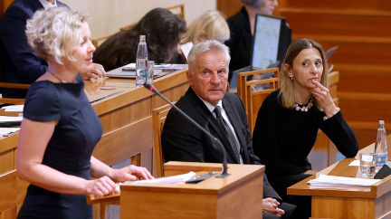 Ústavní soud posílí Fremr, Křesťanová a Ronovská