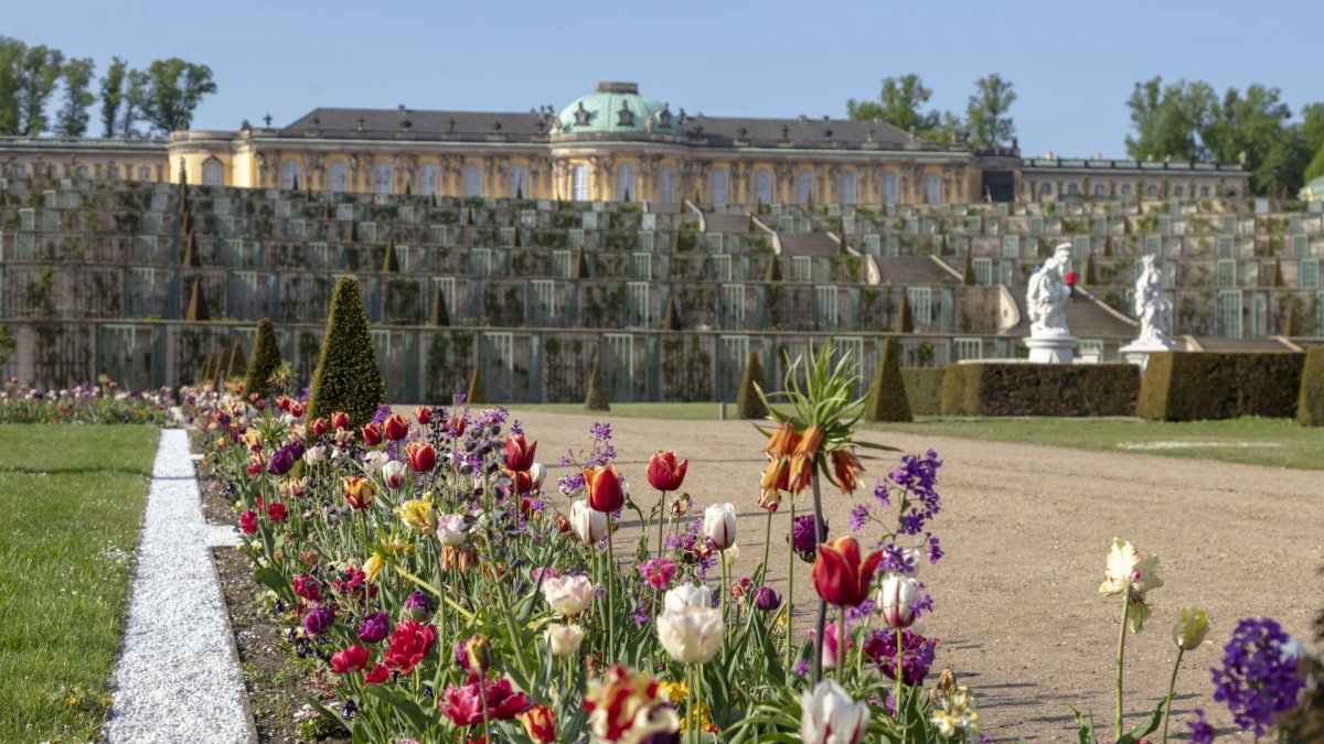 Dovolená bez starostí