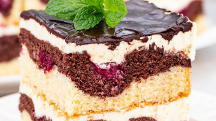 Jedinečný dort Vlny Dunaje: Tento chutný dortík je vhodný pro milovníky sladkých dobrot