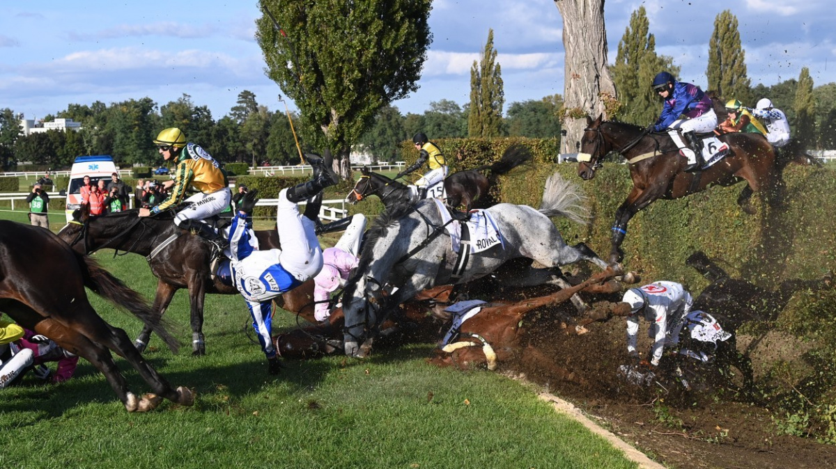 Velkou pardubickou vyhrál favorit Sacamiro. Taxis byl pohromou