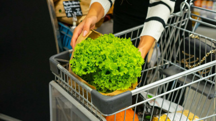 Farmia Food ze skupiny Future Farming uzavřela kontrakt s Makro ČR