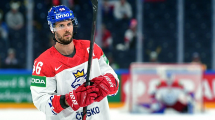 David Krejčí se rozhodl ukončit hokejovou kariéru, šampionát v Praze bude bez něj