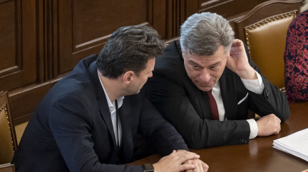 ANO se kvůli tzv. konsolidačnímu balíčku obrátí na Ústavní soud po Novém roce