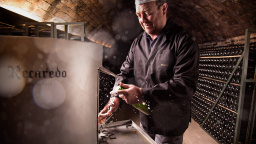 Výběr nejlepších španělských vín pro rok 2024