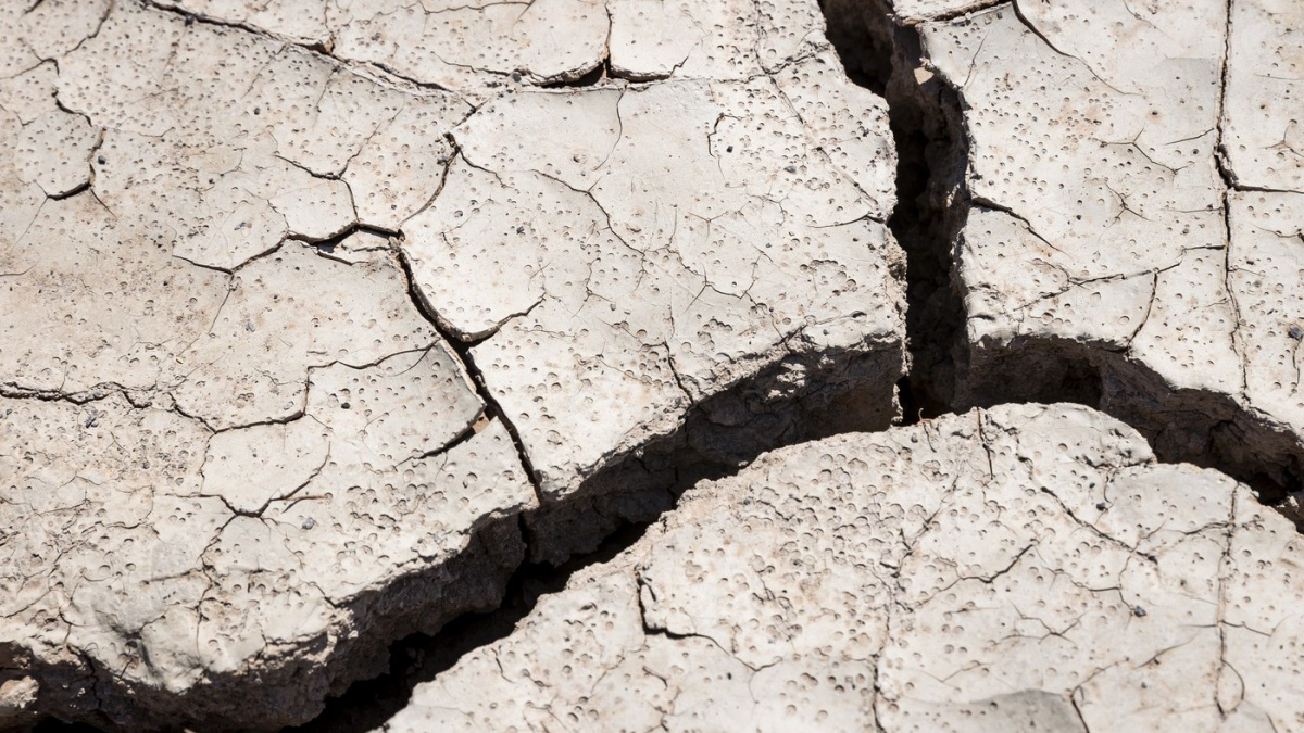 Plán má pomoci jižní Moravě s adaptací na vzrůstající teploty, pro jsou všichni kromě SPD