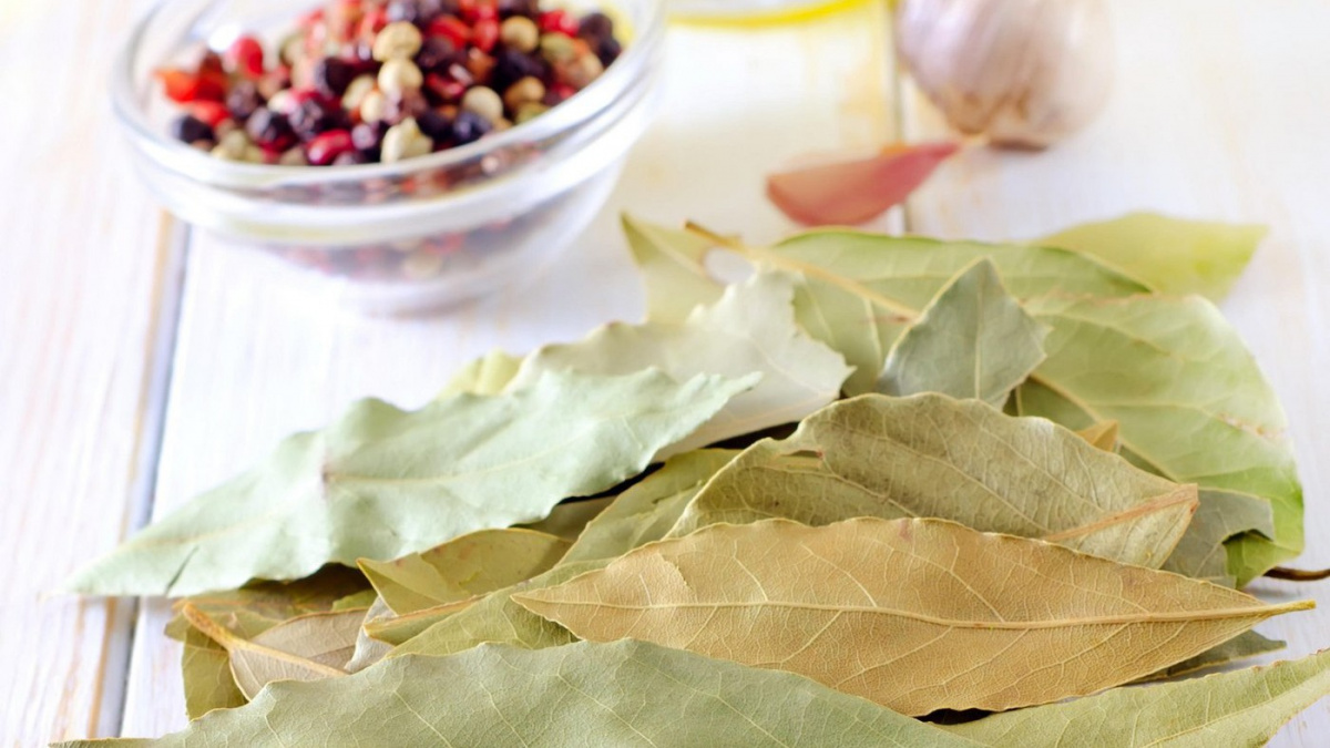 Smíchejte bobkový list s olejem – zbavte se nespavosti, bolesti hlavy, svalů, kloubů a snižte hladinu cukru v krvi