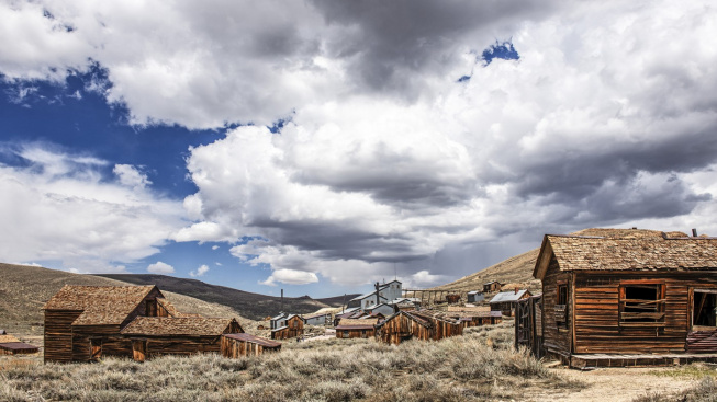 bodie