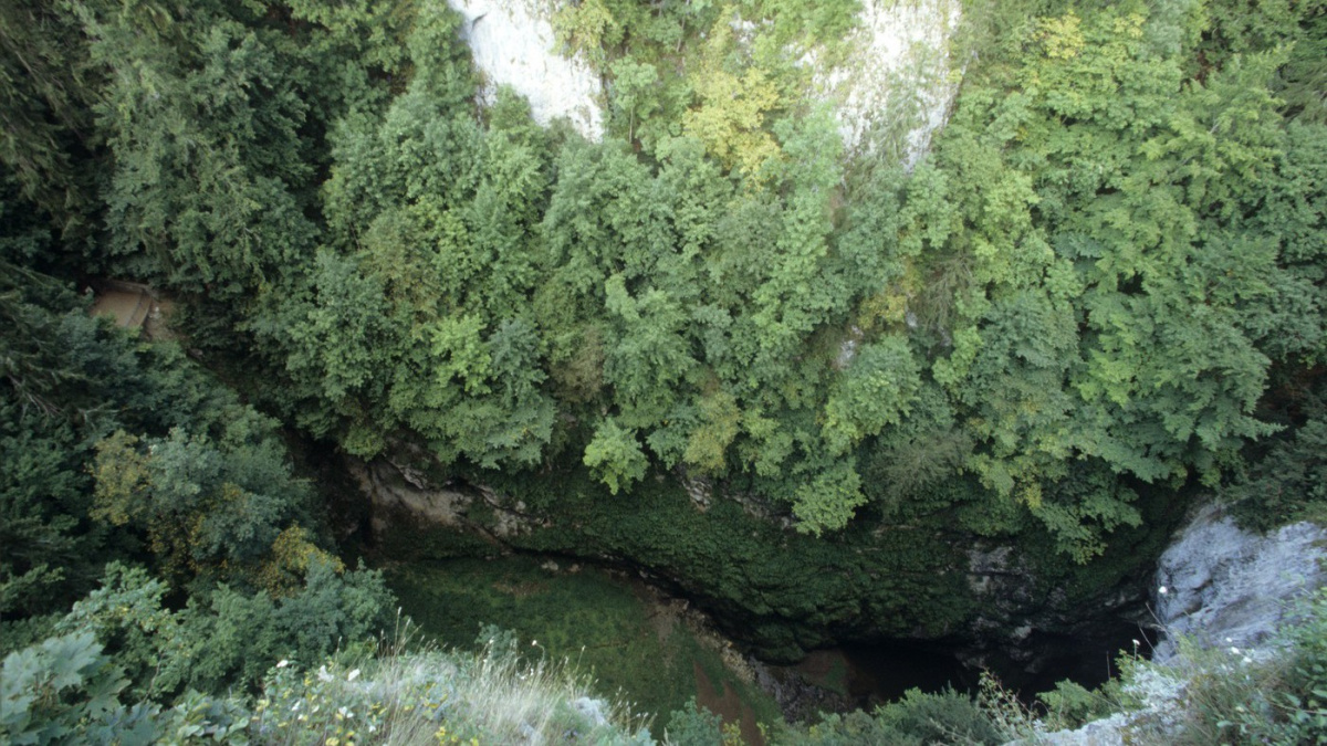 Děsivá dohra: Matka oběti z fakulty se nesmířila s osudem. Našli ji mrtvou na dně Macochy