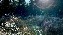 Komáří vrch