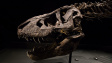 Laboratoře oživují dinosaura – kvůli módě!
