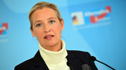Německá kontrarozvědka prohlásila stranu AfD za pravicově extremistickou