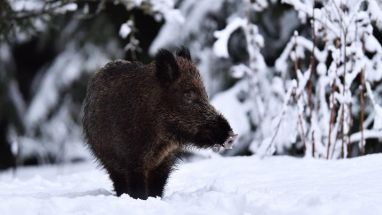 Nemusím, já už ho vidím! Holčička z legendární reklamy na Kofolu prozradila honorář: Dostala almužnu!