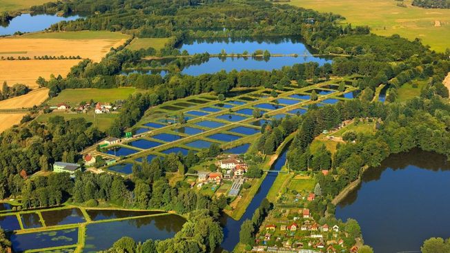 Jihočeské centrum hledá udržitelné využití vodních zdrojů