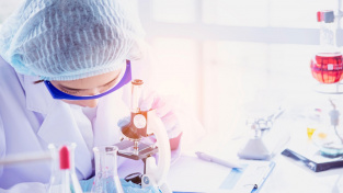 Brněnští vědci prokázali jeden ze způsobů, kterým koronavirus proniká do mozku.