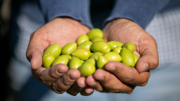 Konec (gastro) světa, jak ho známe: Co už v kuchyni nechceme a na co se zaměřit v roce 2025?