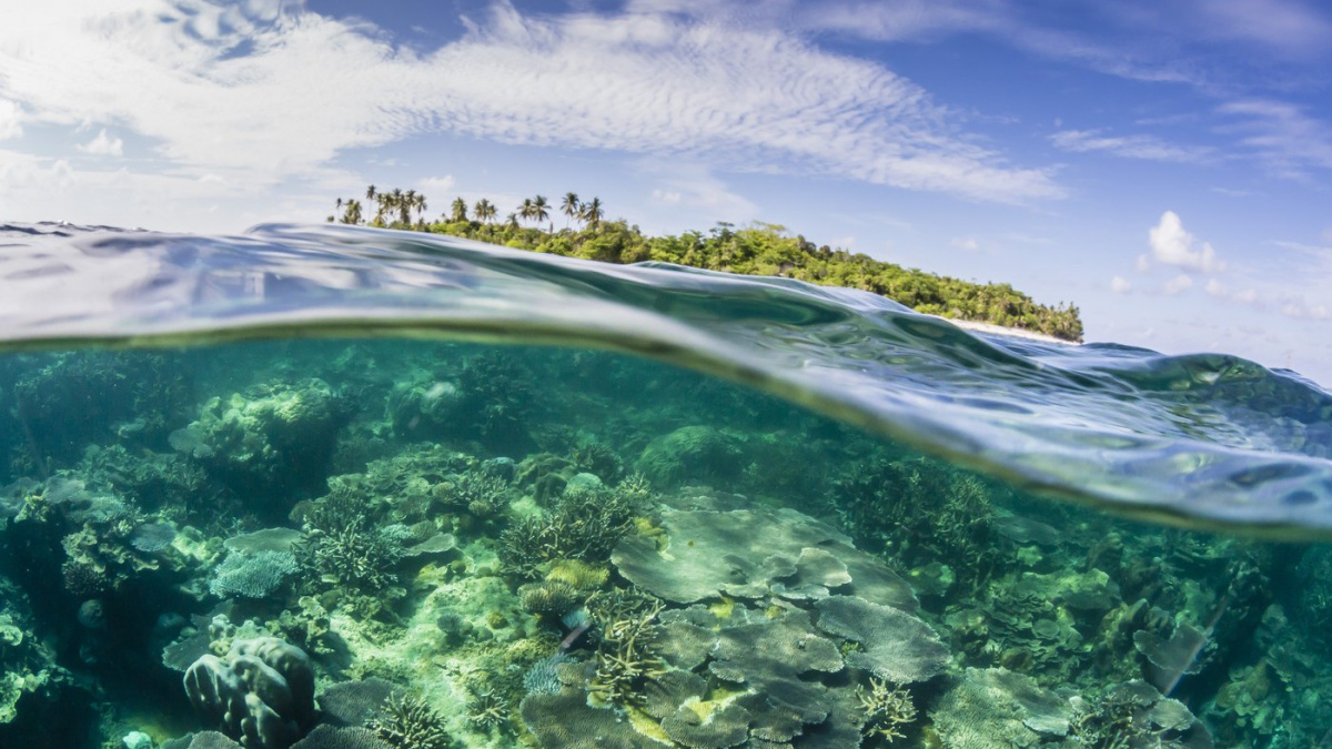 Vyrazí vám dech: Monstrum z hlubin oceánu se opět ukázalo!