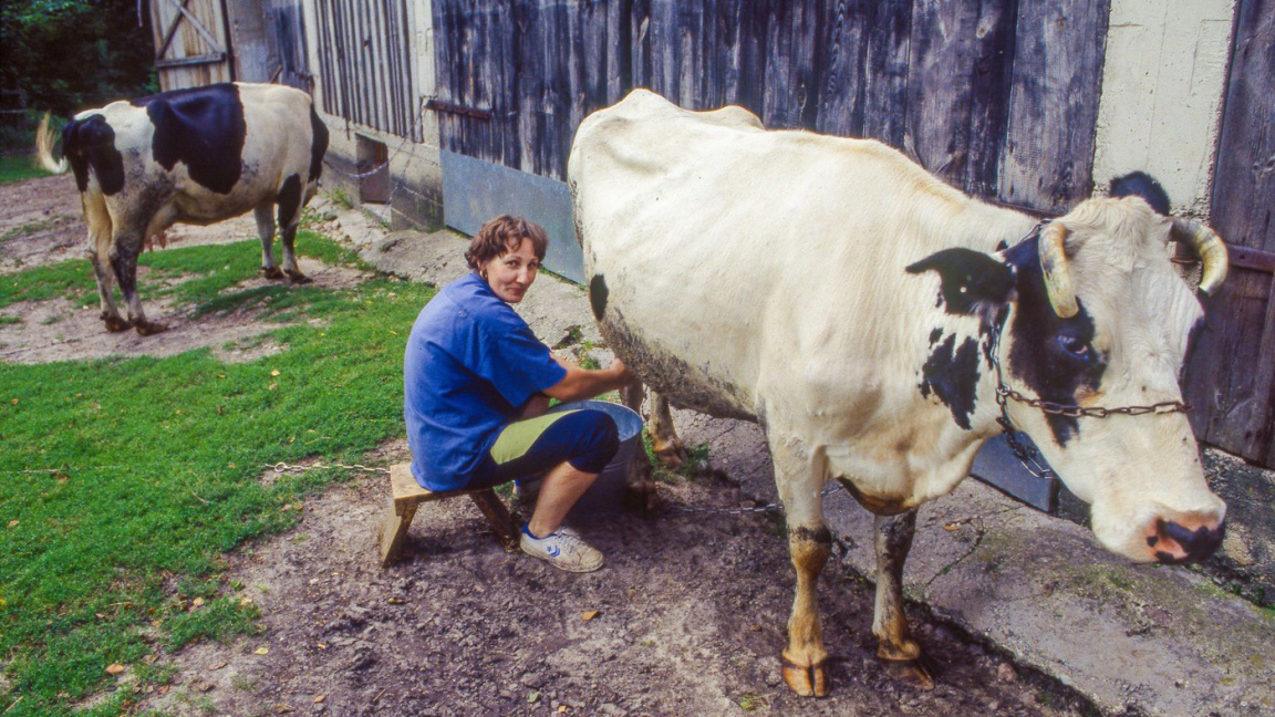 Pořad ještě nezačal a už je v problémech: Farma Česko schytává těžkou kritiku