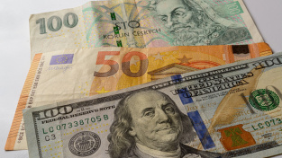 Koruna k hlavním světovým měnám letos v pololetí posílila, k dolaru o 14 procent